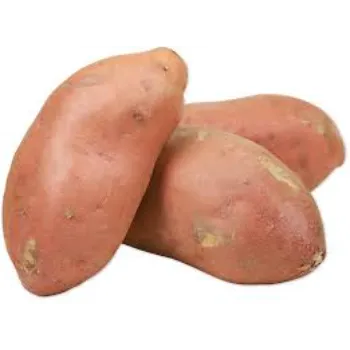 Fresh Sweet Potato 